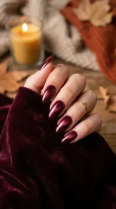 Burgundy Velvet Nails