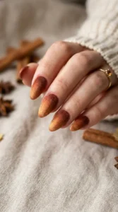 Cinnamon Ombre Velvet Nails