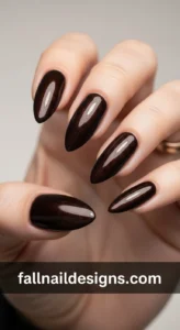 Espresso Velvet Nails